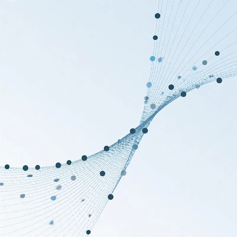 Network Background